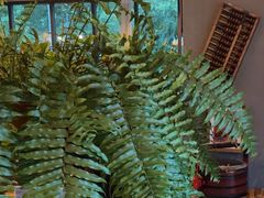 -BUND·FIVE外滩5号(天际店)