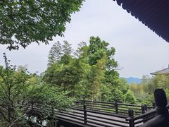 -大唐贡茶院