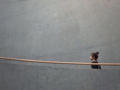 -柳州白莲洞洞穴科学博物馆