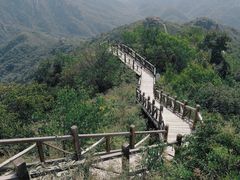-大岭沟猕猴桃谷风景区