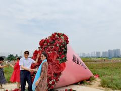 -汉江湾体育公园