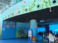 -海合安成都极地海洋公园