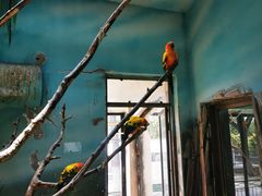 -石家庄市动物园