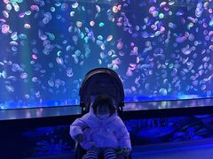 -海合安成都极地海洋公园