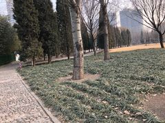 -泰丰公园