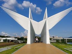 -风云岭森林公园