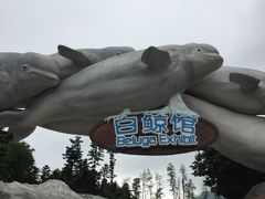 -冯姐生蚝(长隆横琴店)