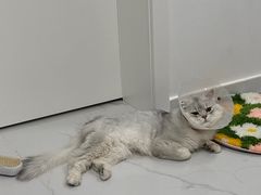 -宠颐生中康贝怡动物医院