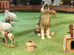 -海拉尔蒙古包(房山长阳总店)