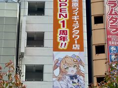 -秋叶原电器街