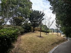 -美兰湖景区