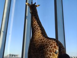 -IMON·HANSA潮玩玩偶毛绒玩具(通州万象汇店)