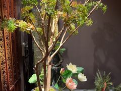 -金狮麟·新豫菜(杏石口路店)