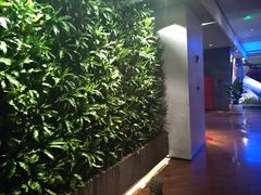 -上海外滩英迪格酒店