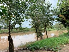 -苏记溪河鲢鱼庄(天府新区店)