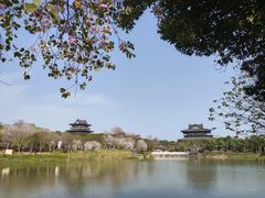 -海珠湖公园