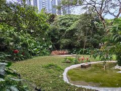 -深圳野生动物园