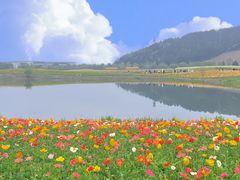 -径山花海