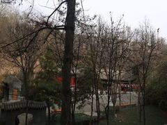 -西安曲江寒窑遗址公园