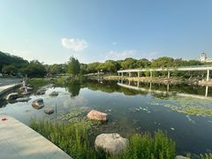 -昆山城市公园