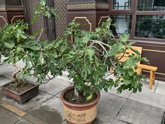 -西宁市东关清真大寺