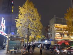-奎星楼街