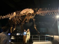 -美国自然历史博物馆