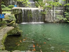 -千岛湖东南湖区