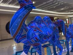 -阿里疆Alijiang·丝路美食·异域风情·清真(长楹天街店)