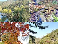 -九如山休闲旅游度假区