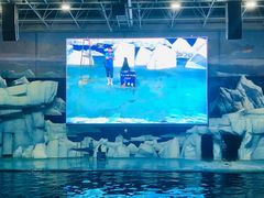 -福州罗源湾海洋世界旅游区