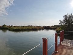 -芒洲湿地公园