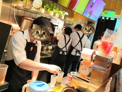 -CoCo都可(太仓万达店)