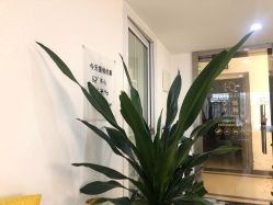 -初心纹眉洗眉·美睫专业店