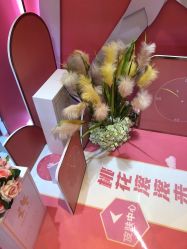 点击看大图 -昆明梦想医疗美容医院
