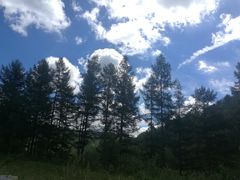 -塞罕坝国家级自然保护区