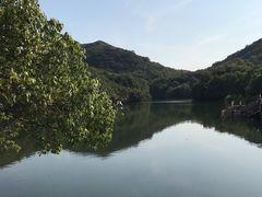 景点-白马涧龙池景区
