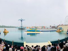 -秦皇岛乐岛海洋王国