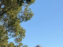 -呼吸森林·生态农庄农家乐私房菜