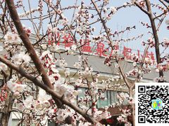 -国御温泉度假小镇