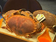 -Mr.Fish鱼鲜生海鲜放题(高德置地冬广场店)