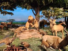 -国家自然博物馆