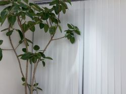 -WENDY·温迪皮肤管理