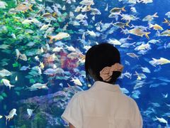 -成都浩海立方海洋公园