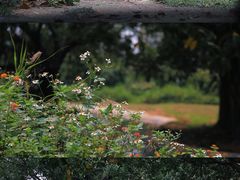 -广州长隆野生动物世界