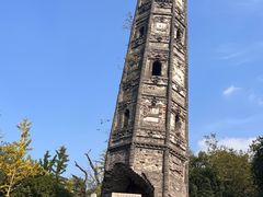 -上海佘山国家森林公园天马山园