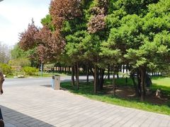 -秦始皇帝陵博物院-丽山园