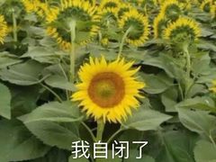 -塔里木的羊·新疆特色餐厅(钱湖北路店)
