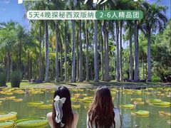 -西双版纳傣族园