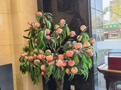 -御茶膳房皇家糕点博物馆(北京首店)